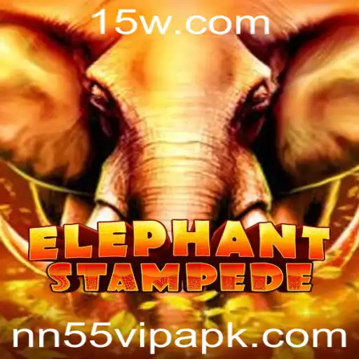 nn55 vip Casino App