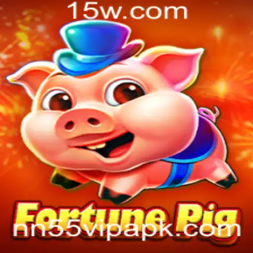 nn55 vip Casino App